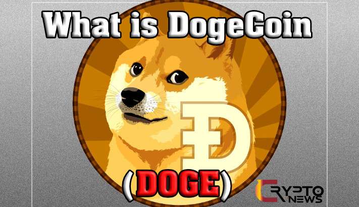What Is Dogecoin (DOGE) ? [Everything U Need to Know] -CryptoKiNews