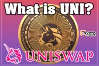 What Is Uniswap (UNI) Cryptocurrency ? [Everything U Need to Know]