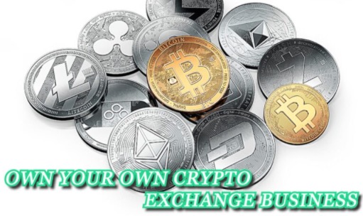 8 REASONS TO RUN YOUR OWN CRYPTO EXCHANGE BUSINESS - liveinsure.in