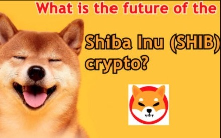What is the future of the Shiba Inu (SHIB) crypto? - CryptoKiNews